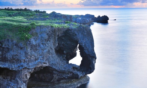 오키나와 북부 핵심만 콕! 1인도 OK 츄라우미 투어 후기