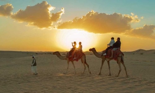 아부다비 사막 사파리: 인생샷 보장! 잊지 못할 아라비안 나이트 경험