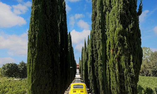 피렌체에서 로마까지, 토스카나를 한눈에! 버스 투어 후기