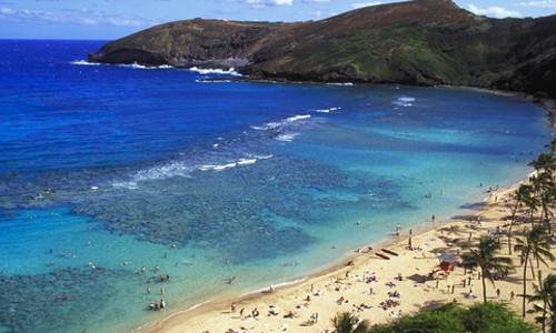 하와이 하나우마베이 스노클링 후기! 주정부 인증 업체라 안심!