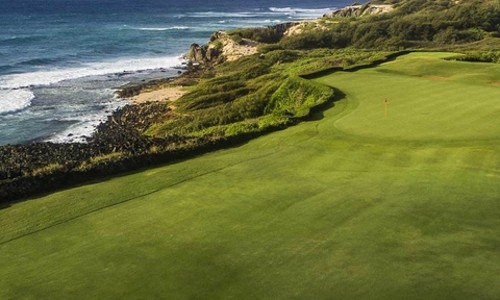 카우아이 포이푸 베이 골프 라운딩 후기: 자연 속 힐링 경험!