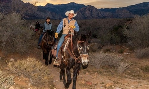 라스베가스에서 즐기는 특별한 석양! 카우보이 말타기 & 바베큐 후기