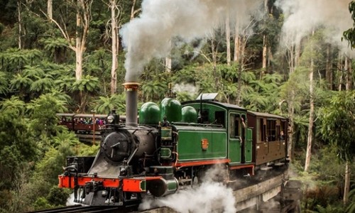 인생샷 보장! 퍼핑 빌리 & 필립 섬 콤보 투어 솔직 후기