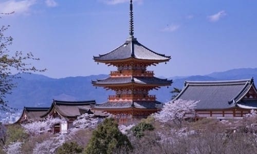 혼자 떠난 오사카 근교여행! 교토 버스투어로 하루만에 정복하기