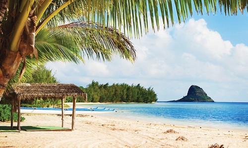 하와이 쿠알로아 랜치 시크릿 아일랜드, 숨겨진 낙원에서 힐링!