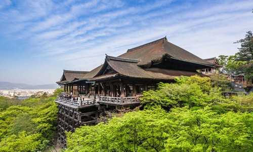 교토 핵심 명소 하루 만에 정복! 버스투어 솔직 후기