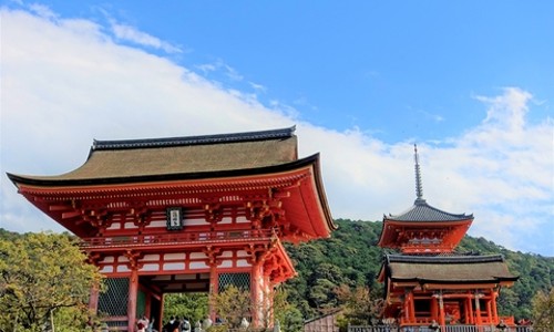 오사카 교토 1일 버스투어: 혼자 떠나는 여행도 문제없어요!