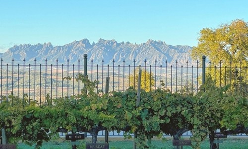 몬세라트 & 와이너리 투어 후기: 눈과 입이 즐거운 하루!