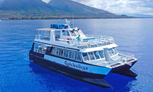 마우이에서 즐기는 특별한 스노클링! 라나이섬 투어 후기