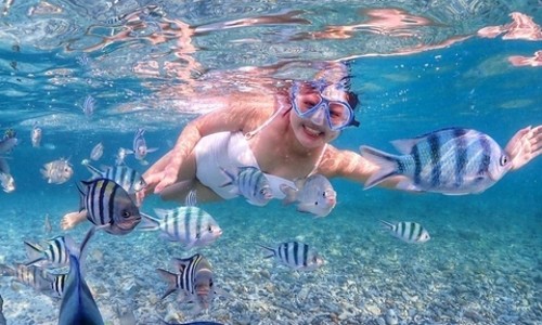 파타야 니모섬 스노쿨링 투어 후기! 인생샷은 덤~