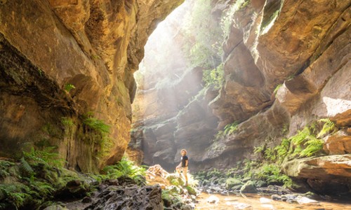 인생샷은 덤! 블루마운틴 그랜드캐년 하이킹 투어 리얼 후기