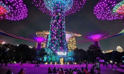 싱가포르 야경, 눈과 마음에 별을 담아온 밤✨