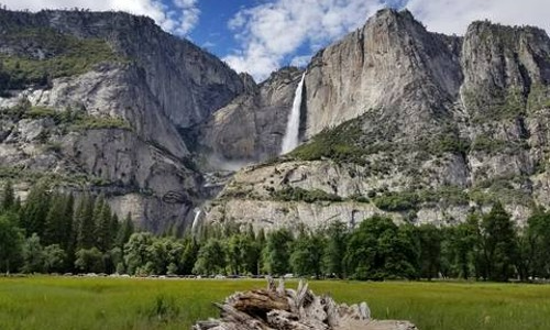 샌프란시스코 출발 요세미티 당일 투어 솔직 후기! (아침, 점심, 스냅사진, 팁 모두 포함)