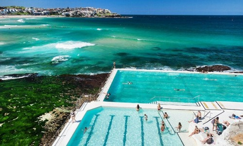 시드니 공항 픽업 + 본다이 해변 투어! 택시비로 즐기는 알찬 3시간