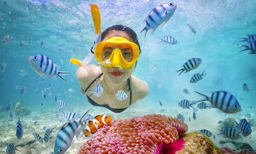 파타야 니모섬 스노쿨링 투어 후기! 인생샷 보장, 안전까지 완벽!