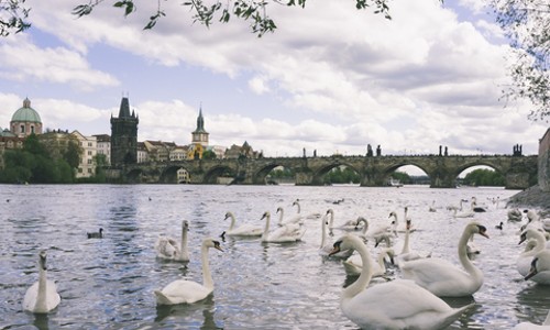 프라하 맞춤 시내투어 솔직 후기! 인생샷은 덤~