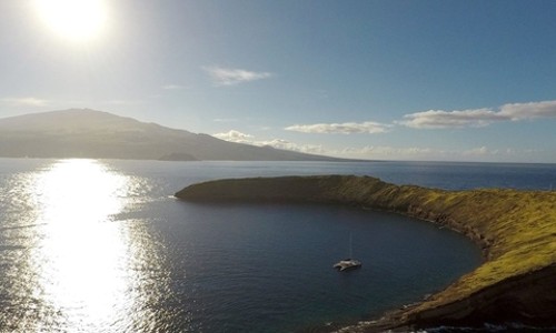 마우이 몰로키니 스노클링 후기: 인생 최고의 바다를 만나다!