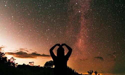 페더데일 동물원 & 블루마운틴 투어! 잊지 못할 시드니의 밤