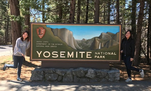 요세미티 2박 3일 힐링 여행! 요셈투어 후기