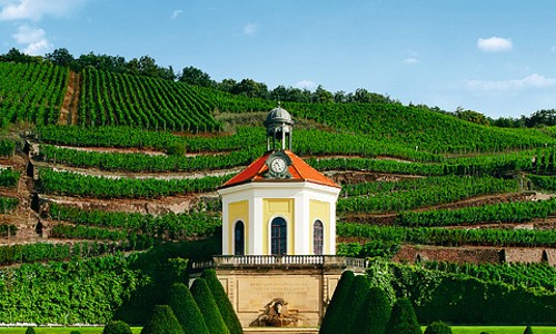 프라하 근교여행🇩🇪 드레스덴 & 작센 와이너리 당일투어 후기