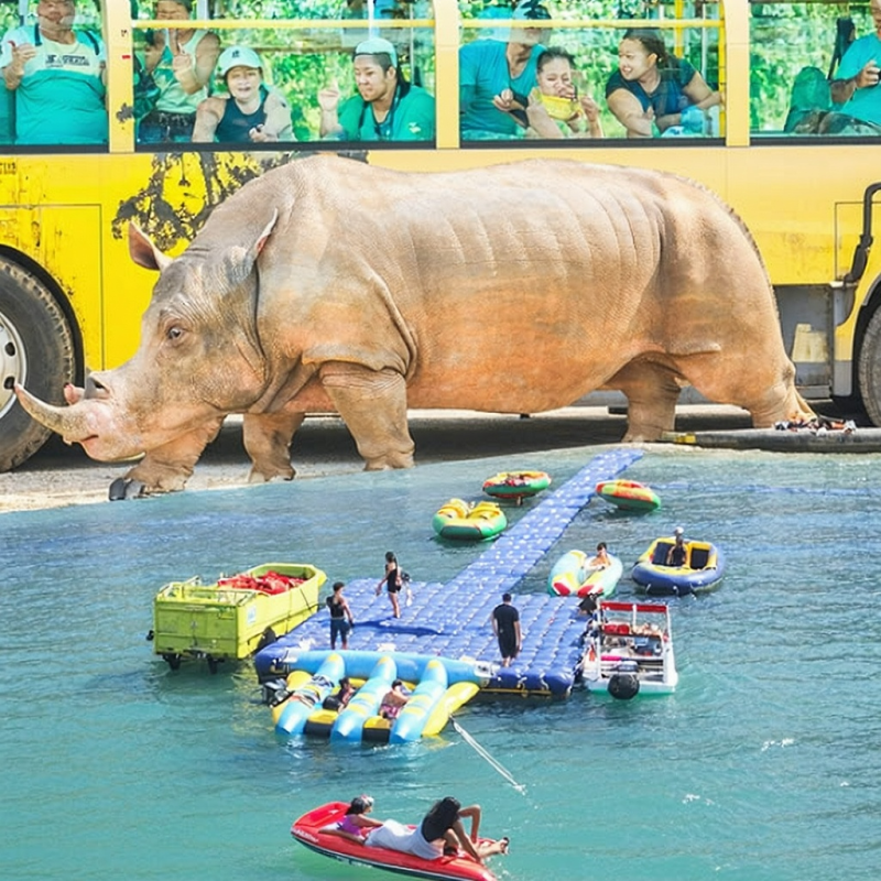 🌴 푸꾸옥 액티비티 완전 정복! 사파리, 수상레저, 호핑투어 후기 대방출!