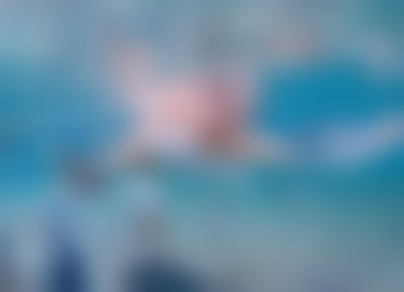 [특가★][방콕출발]니모섬 스노쿨링(1일정원제한)(수중촬영)