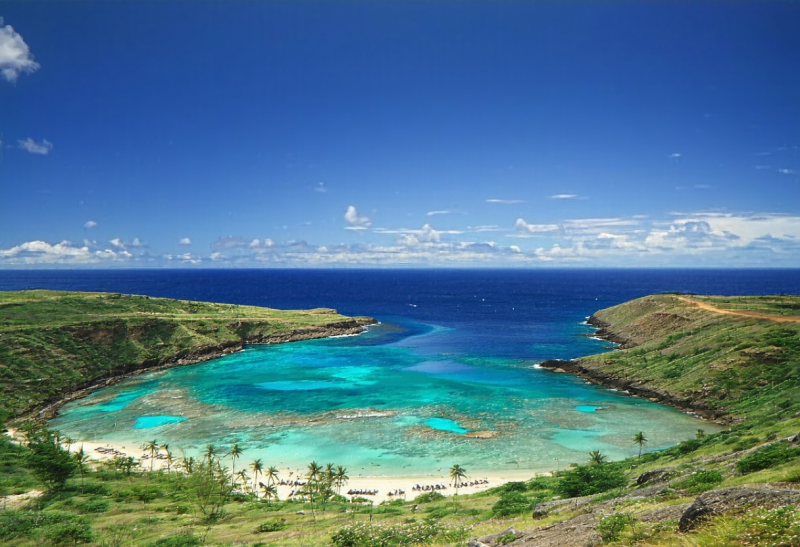 하와이 하나우마베이 스노클링 완벽 가이드! 🐠 얼리버드 티켓으로 꿀팁까지 챙겨가세요!