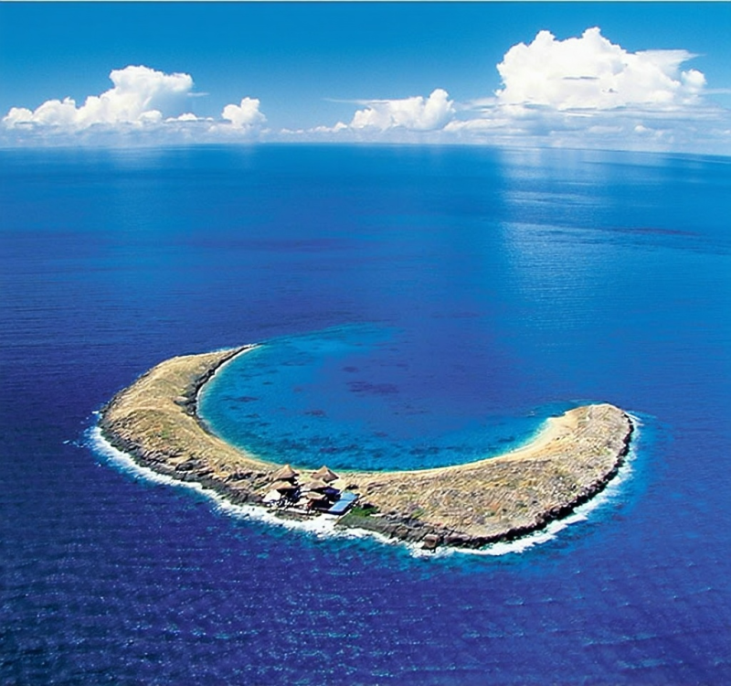 인생샷 보장! 마우이 몰로키니 스노클링, 거북이와 함께하는 꿈결 같은 하루🐢🐠