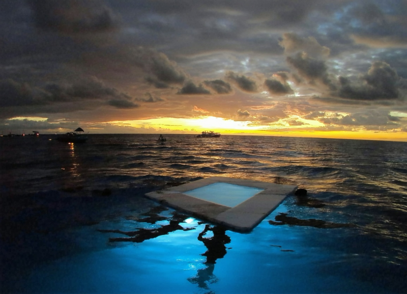 하와이 빅아일랜드 코나 선셋 만타레이 스노클링! ✨ 인생 최고의 순간을 담아왔어요!