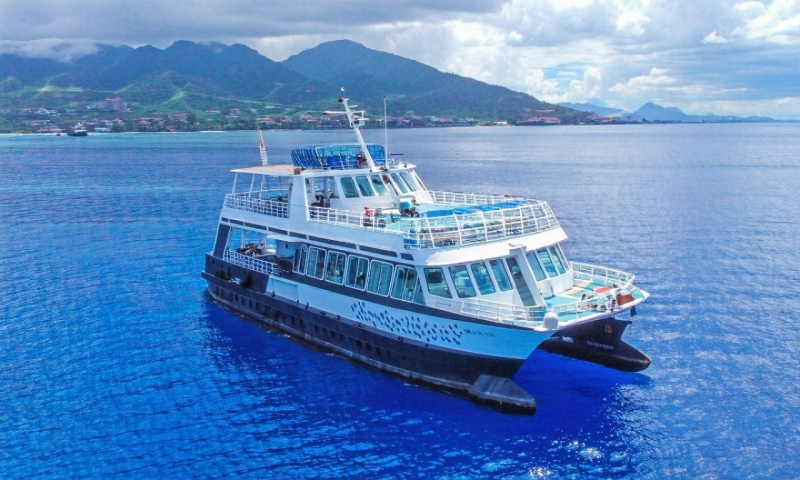 하와이 마우이 스노클링 천국! 🐠 라나이섬에서 야생 돌고래와 거북이 만난 후기