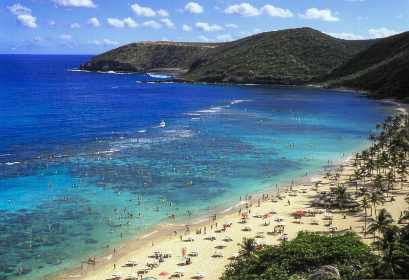 하와이 하나우마베이 스노클링 완벽 가이드! 🐠 주정부 인증업체 예약 후기