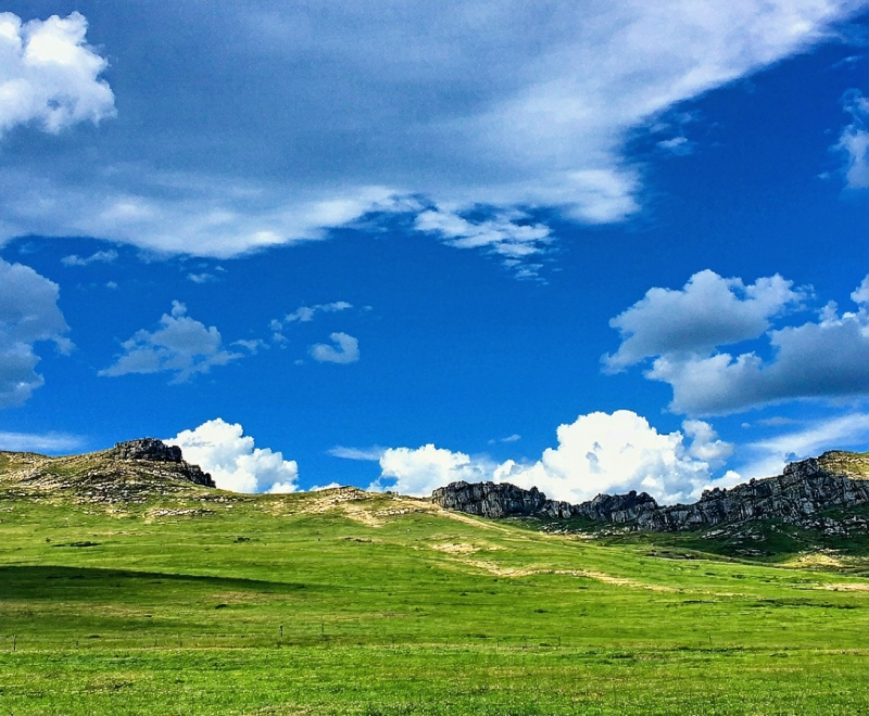 별 헤는 밤, 낙타 타고 사막 질주! 꿈결 같은 몽골 2박 3일 단독 투어 후기