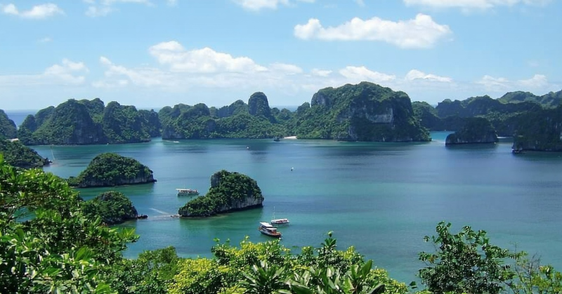 하노이 위고 하롱베이크루즈 (리무진 단돈 만원추가)