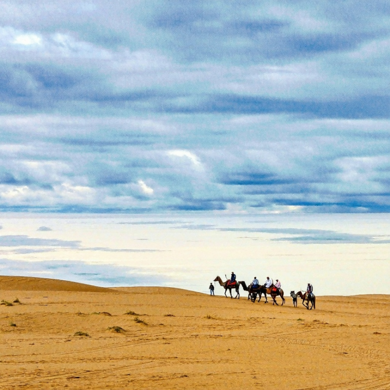 쏟아지는 별을 품에 안다! 몽골 미니 고비사막 당일치기 투어 ✨