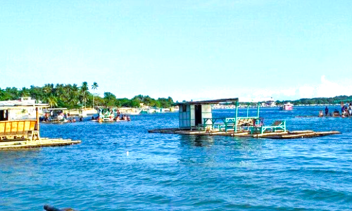 마닐라 여행 필수 코스! 바탕가스 마따붕까이 단독 호핑투어 생생 후기🐠