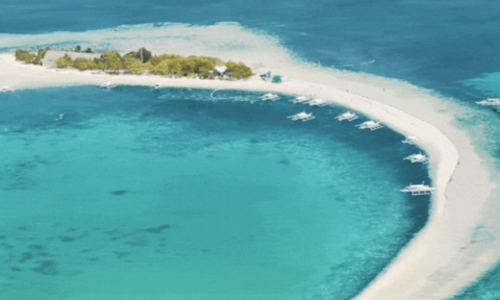 인생샷 보장! 보홀 발리카삭 스노쿨링 단독투어 후기 (돌고래 왓칭까지🐬)