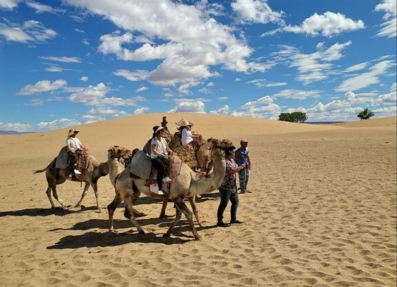쏟아지는 별을 내 눈에! 몽골 아르항가이 미니 고비사막 1박 2일 단독 투어 후기✨