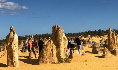 🌟 [럭셔리 호텔 1박 무료] 호주 퍼스 숨은 보석 발견💎! 4박 5일 완벽 투어 후기!