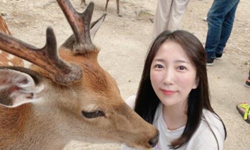 오사카 출발 교토-나라 1일 버스투어 생생 후기! (사슴공원, 동대사, 쇼핑까지)