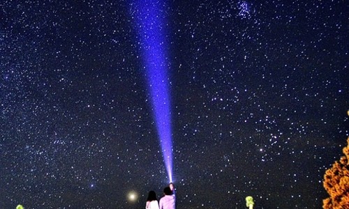 조슈아트리 인생샷 보장! 별빛 아래 힐링 투어 후기