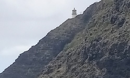 오아후 프라이빗 섬 일주 & 공항 픽업 샌딩 후기: 우리만을 위한 특별한 하루!