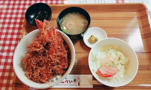 인생 맛집 준페이 예약 확정! 비에이 후라노 버스투어 솔직 후기
