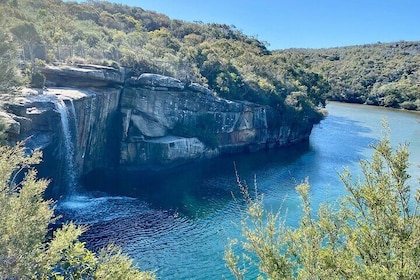 프라이빗하게 즐기는 시드니 근교 힐링 여행: 울릉공, 키아마, 로얄 내셔널 파크