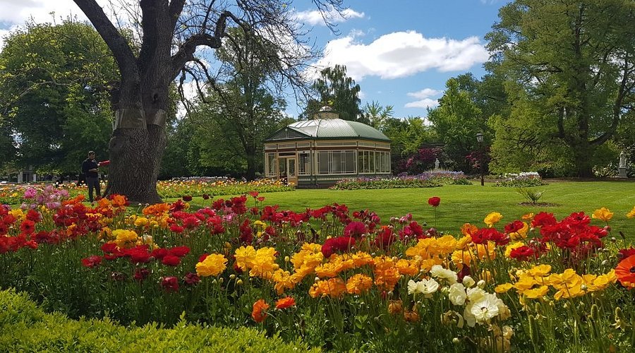 특별한 하루! 기차에서 즐기는 럭셔리 미식 & 질롱 여행 후기