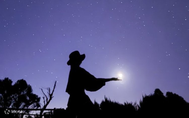 시드니 2일 완전 정복! 블루마운틴, 포트스테판 콤보 투어 후기