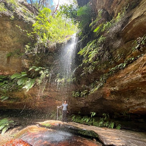 시드니 북부 블루마운틴 하이킹 투어: 대자연과 현지인 코스를 찐하게 체험한 후기