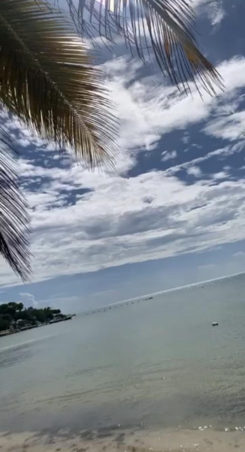 하와이 아이폰 스냅 갓성비? 직접 찍어본 솔직 후기!