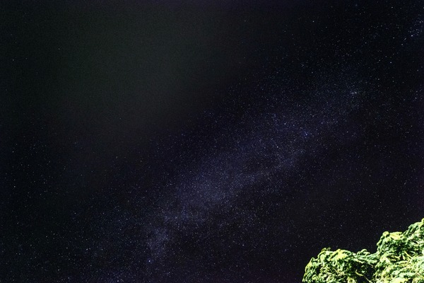 사이판 밤하늘을 수놓은 별들의 향연, 죠가이드 별빛투어 솔직 후기