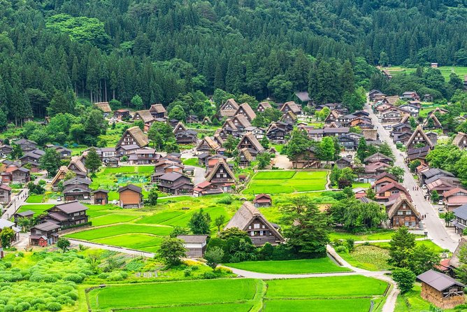 나고야 근교 투어: 다카야마 시라카와고, 한국인 가이드와 동화 속 풍경 속으로