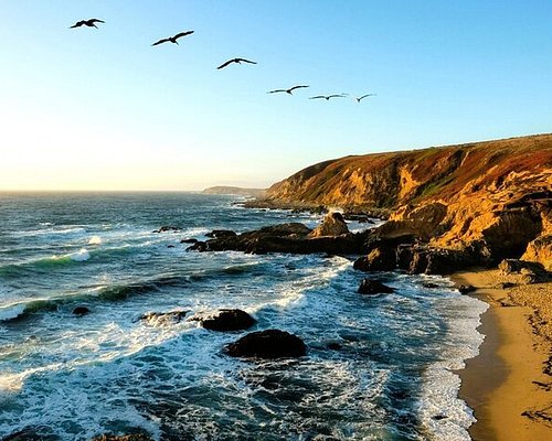 샌프란시스코 와이너리 투어 소노마 해안도로 레드우드 숲 완전 정복 솔직 후기